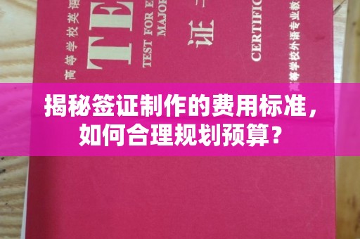 南康揭秘签证制作的费用标准，如何合理规划预算？
