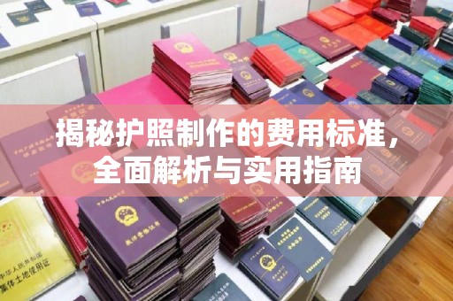 南康揭秘护照制作的费用标准，全面解析与实用指南