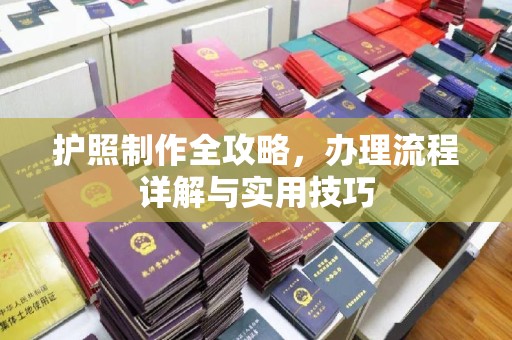 南康护照制作全攻略，办理流程详解与实用技巧